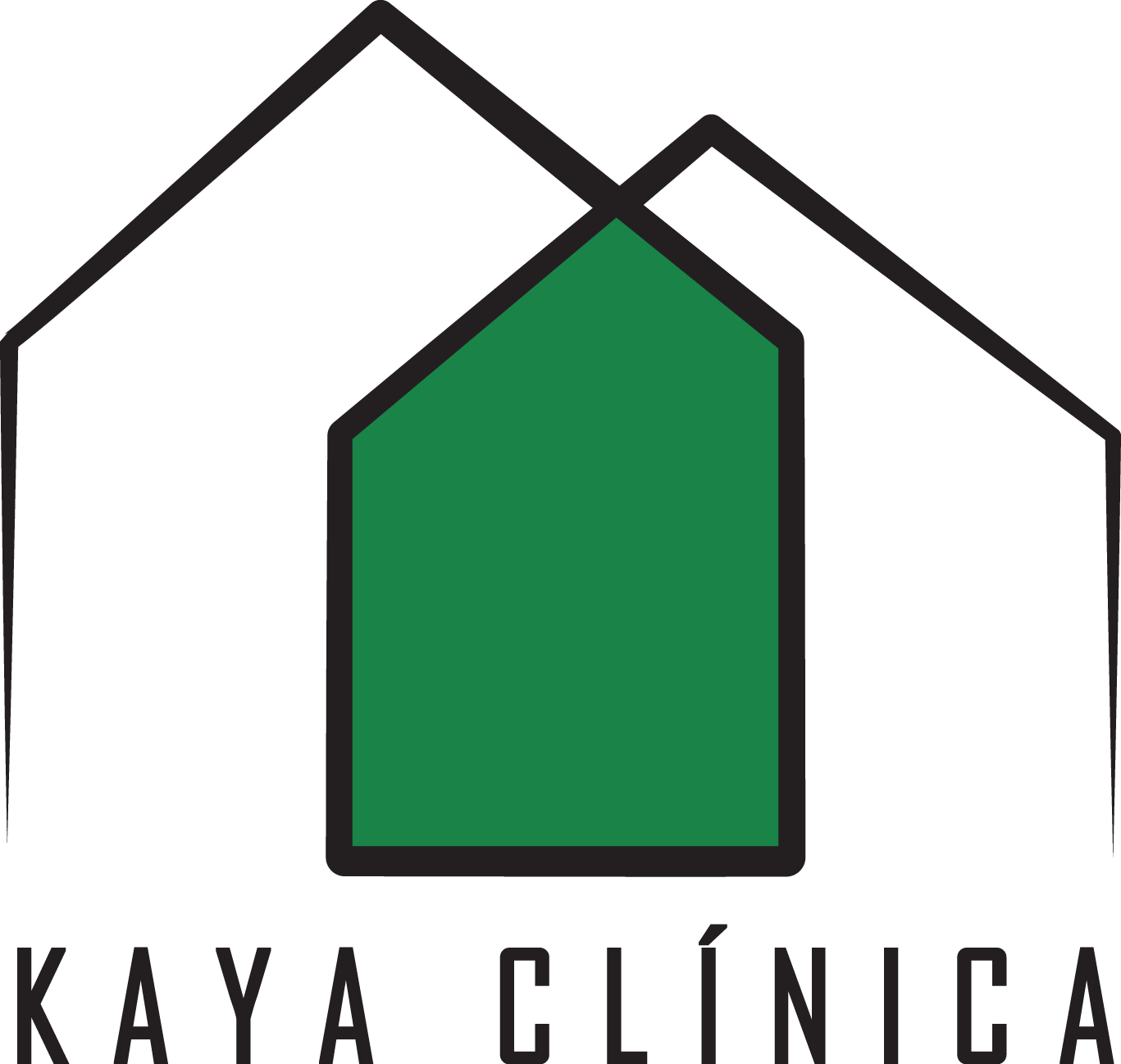 Logo Kaya Clinica